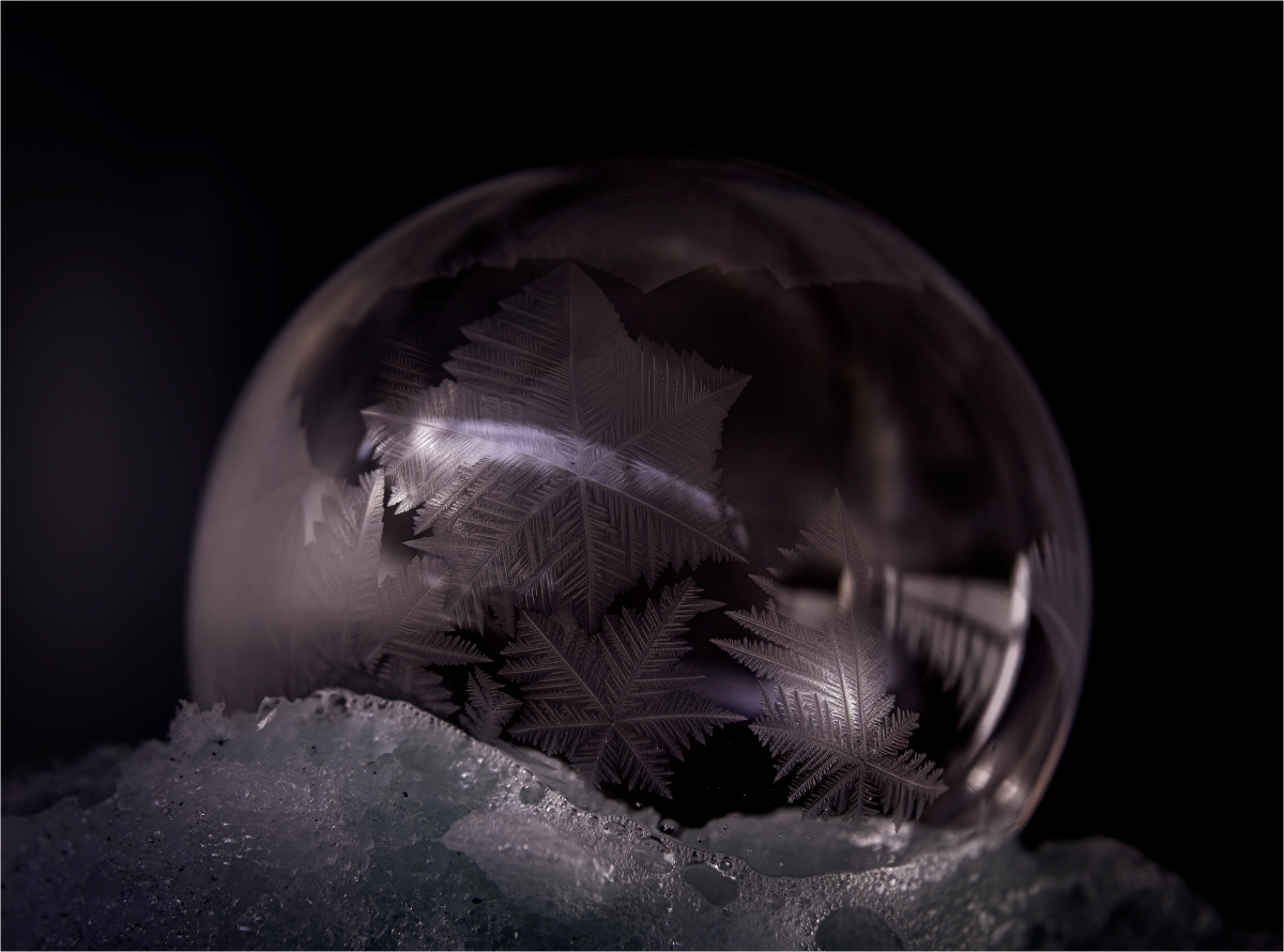 Nowak Mirek Frozen Bubble AssignedSubject   Still Life 20260325